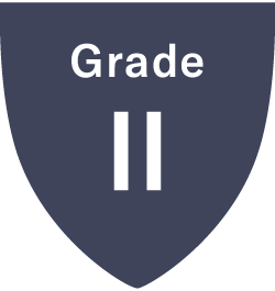 Grade II